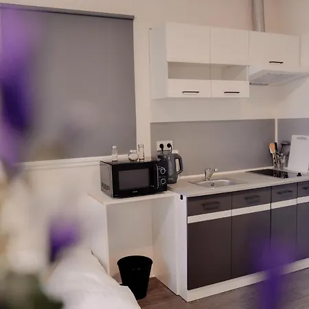 Apartmany Centrum Novy Bor Exterior photo