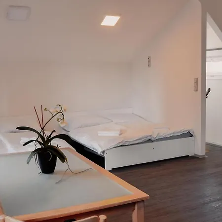 Apartmany Centrum Novy Bor Exterior photo