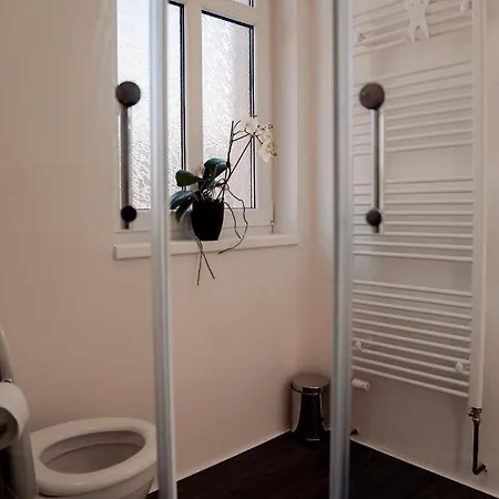 Apartmany Centrum Novy Bor Exterior photo
