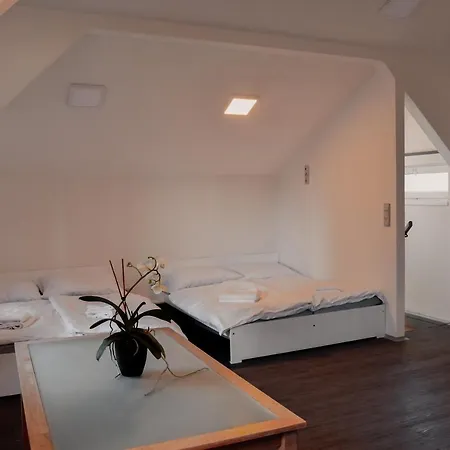 Apartmany Centrum Novy Bor Exterior photo