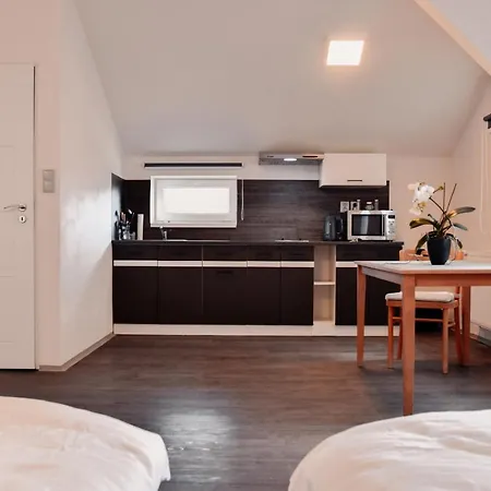 Apartmany Centrum Novy Bor Exterior photo
