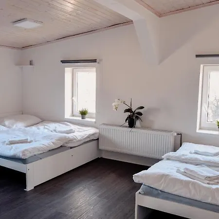 Apartmany Centrum Novy Bor Exterior photo