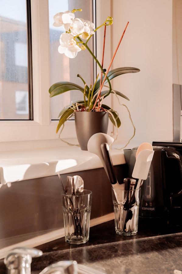 Apartment Centrum Novy Bor